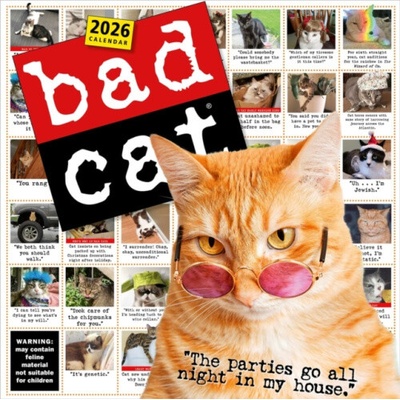 Bad Cat Wall Celebrating the Misfits of the Feline World 2026