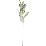 Bizzotto ИЗКУСТВЕНА КЛОНКА senecio cineraria (0172622)