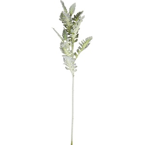 Bizzotto ИЗКУСТВЕНА КЛОНКА senecio cineraria (0172622)