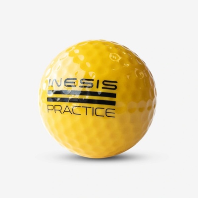 INESIS 300
