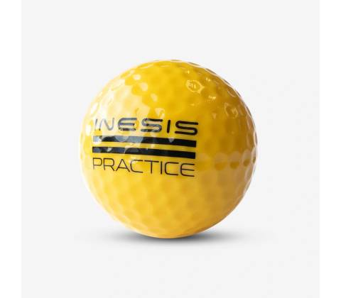 INESIS 300