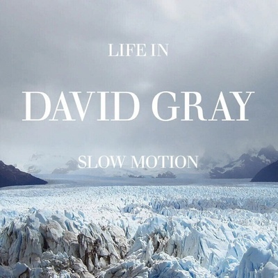 David Gray - Life In Slow Motion (Deluxe 20th Anniversary Edition) (Blue Coloured) (2 LP) (5061095090036)
