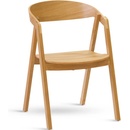 ITTC Stima Guru masiv buk