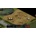 Xenonauts