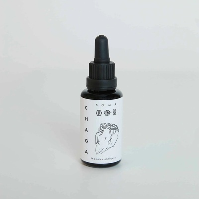 Kääpä Mushrooms Chaga BIO tinktura 30 ml