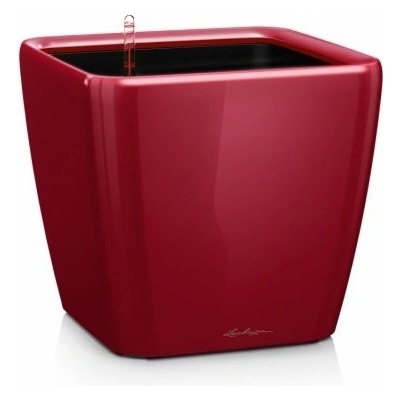 Lechuza Quadro LS 43 cm červený