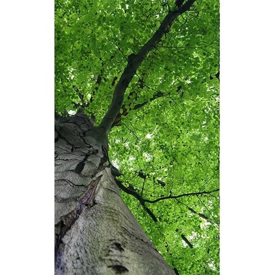 Dimex MS-2-0101 vliesová fototapeta rozměry 150 x 250 cm