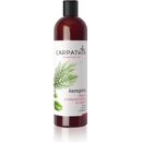 Carpathia Herbarium šampon proti vypadávání vlasů 350 ml