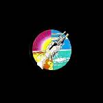 Pink Floyd - Wish You Were Here (180 g) (LP) (0888751842618)
