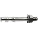 Climbing technology Anchor Bolt 12