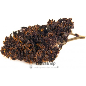 Weedshop CBD konopí Auto Blackberry Kush 0,3 % THC 1 g