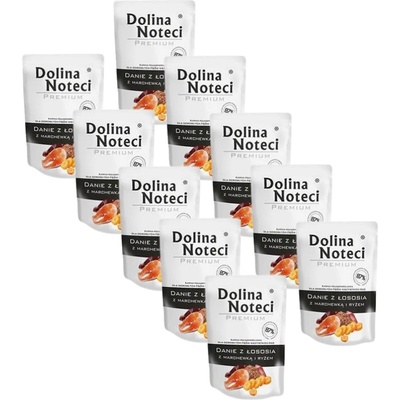 Dolina Noteci Adult Dish of salmon with carrots and rice 10 x 100 g