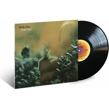 Dan Steely Katy lied 1 LP