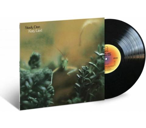 Dan Steely Katy lied 1 LP