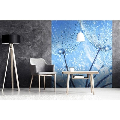 Dimex MS-3-0125 vliesová fototapeta na zeď Kapky vody na pampelišce rozměry 225 x 250 cm
