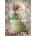 Cherry Pazzi - Puzzle Hello World! - 500 piese