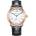 Aerowatch a 41900 ro04 (a 41900 ro04)