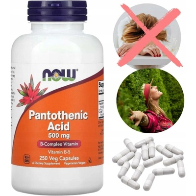 Now Foods Pantothenic Acid 500 mg 250 kapslí