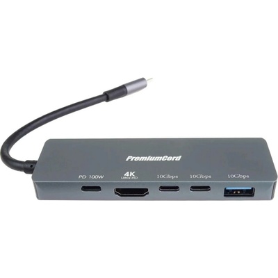 PremiumCord ku31dock21