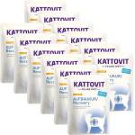 KATTOVIT Recovery паста пиле 12 x 85 г