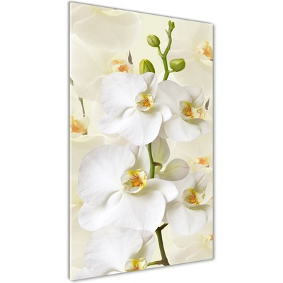 Vertikálny fotoobraz na skle Biela orchidea 50x100 cm