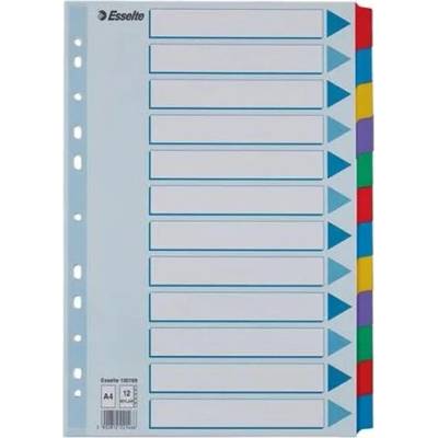 ESSELTE Register, laminovaný kartón, A4, 12 részes, ESSELTE "Mylar", farebný