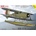 AZmodel Beech SD-17S "Staggerwing1:72