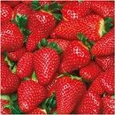 PAW servítky L Raw Strawberries 33x33cm