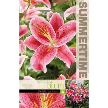 Seklos Лилиум Astar gazer - 1 бр луковицa