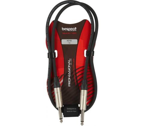Bespeco NC100