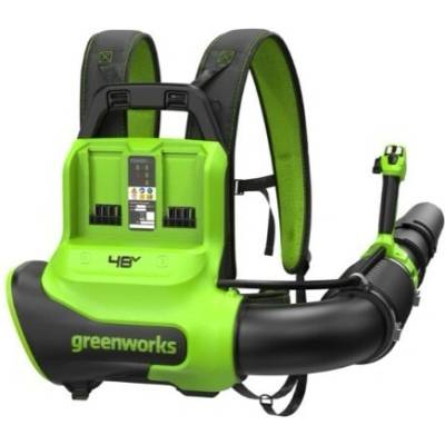 Greenworks BL48020 2×24V