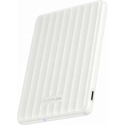 EcoFlow RAPID 1ECORAPQI5000-D