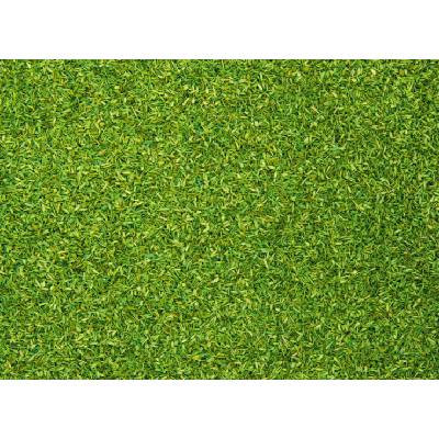 Noch Posyp světle zelený 08410