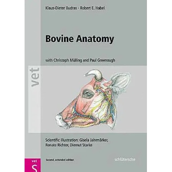 Image 1 of Bovine Anatomy | Klaus Dieter Budras