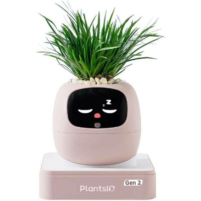 Plantsio Ivy 2 gen. růžový