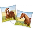 Herding Obojstranný vankúš KONE 40x40