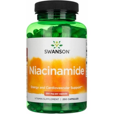 Swanson Niacinamid Vitamin B3 250 mg 250 kapslí