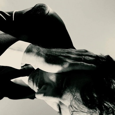 Inside Problems - Andrew Bird CD