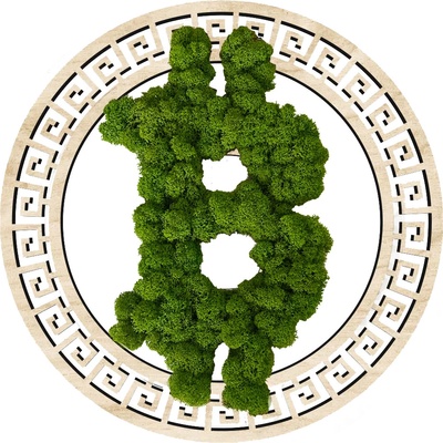 MACHOVÝ DREVENÝ BITCOIN OBRAZ - 40cm, Svetlá