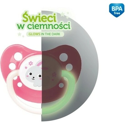 Canpol Babies silikon anatomický Bunny & Company tyrkysová
