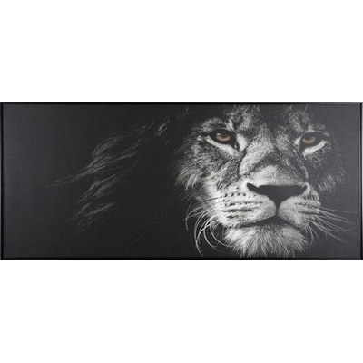 Obraz v ráme Shadow Animal 59 x 134 cm