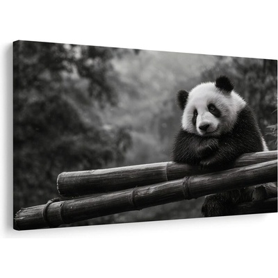 Obraz panda odpočívající na bambusu - 30x20