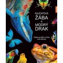 Rajčatová žába a modrý drak