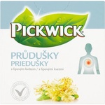 Pickwick Пикуик билков чай бронхиален 10 х 2, 2 гр