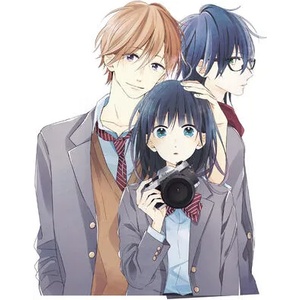 Love in Focus Complete Collection (ISBN: 9781646513666)