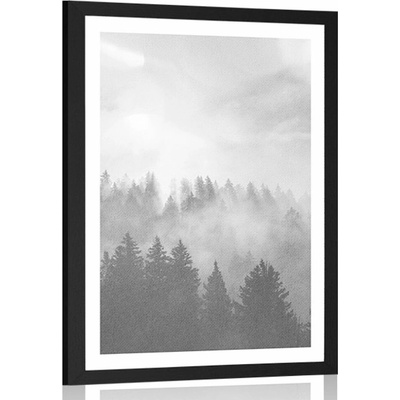 Plakát s paspartou mlha nad lesem v černobílém provedení - 20x30 silver