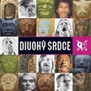 DIVOKY SRDCE: KAJUVEJ CD