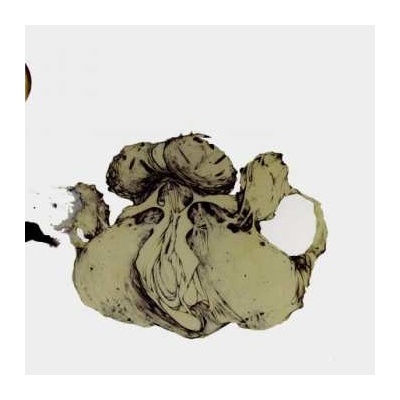 Coil - The Ape Of Naples LP