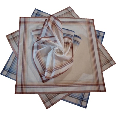 Etex Bavlněné látkové kapesníky pánské 6ks