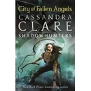 Mortal Instruments 4..